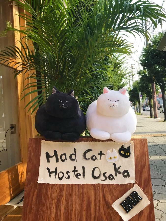 Auberge de jeunesse Mad Cat & Bar *
