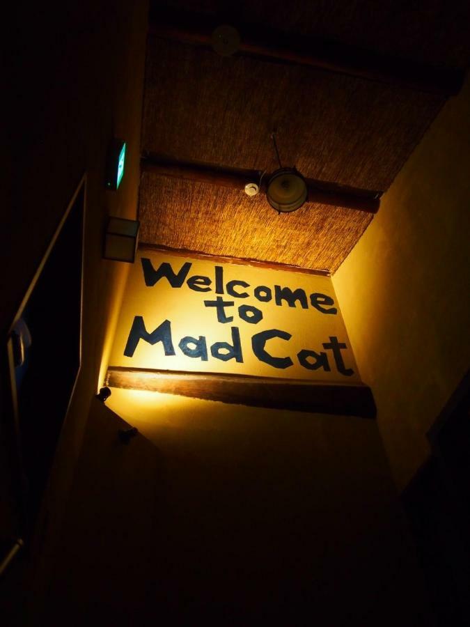 Mad Cat & Bar Auberge de jeunesse Ōsaka