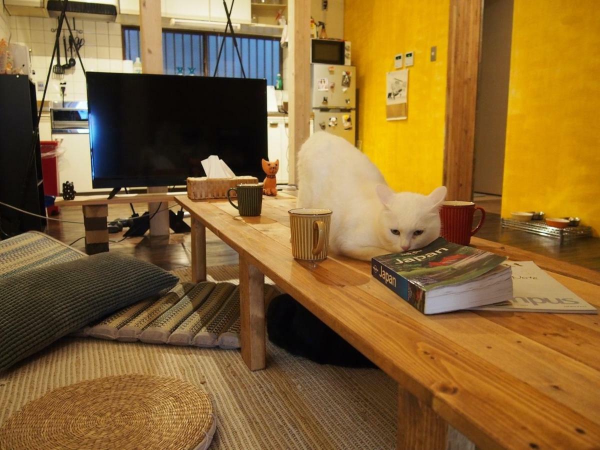 Mad Cat & Bar Ōsaka