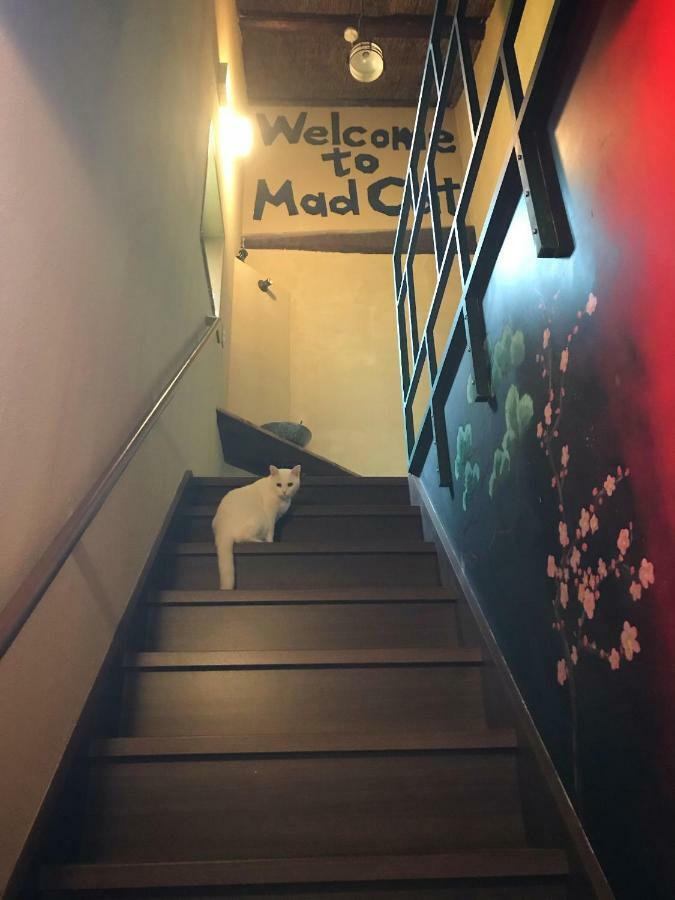 Mad Cat & Bar Albergue